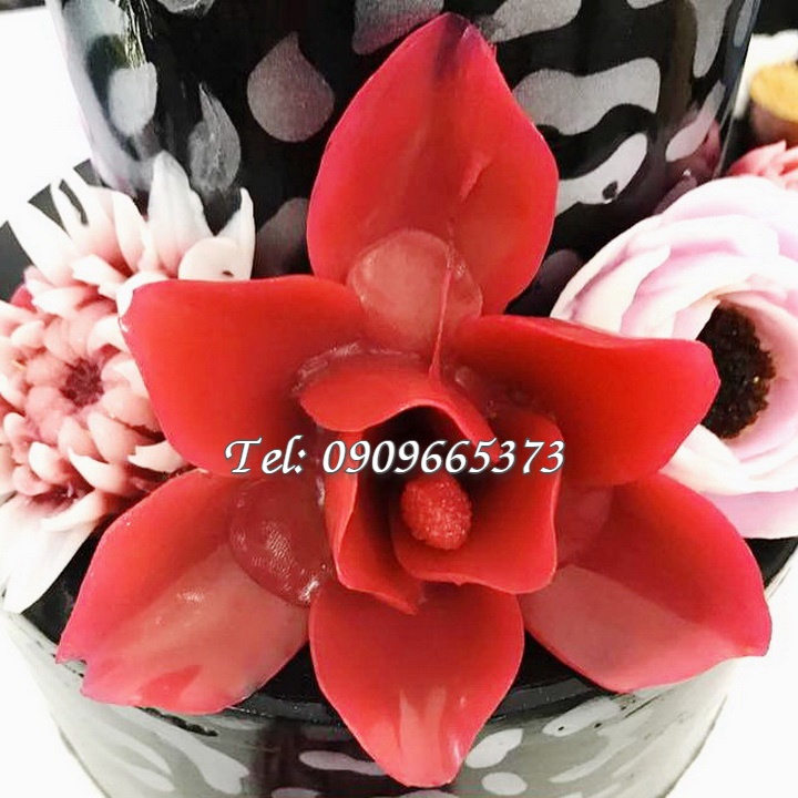 Khuôn silicon làm bánh, rau câu hoa ngọc lan 9 cánh – Loại 11 cm - Mã số 1615