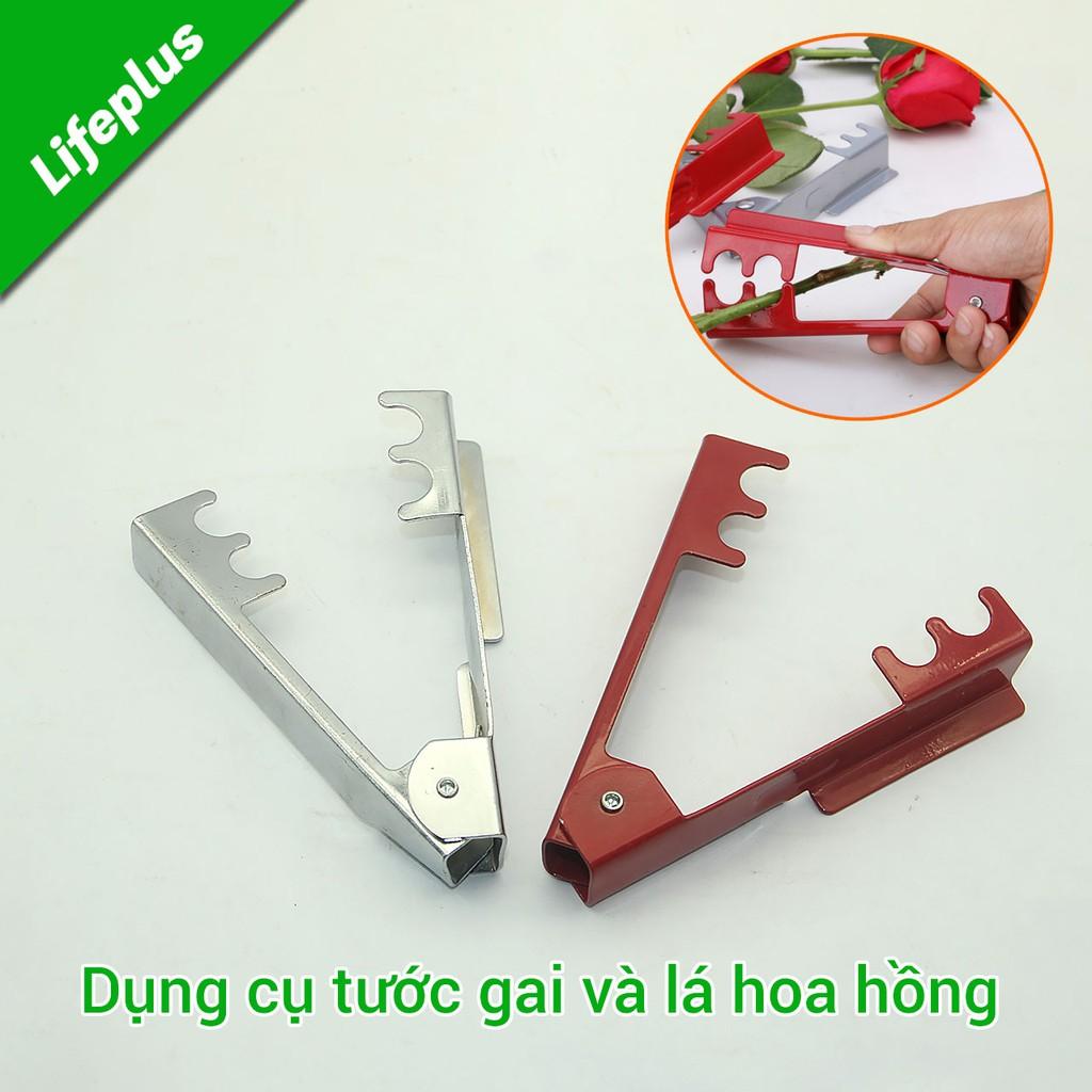 Kìm tuốt gai và lá hoa hồng tươi