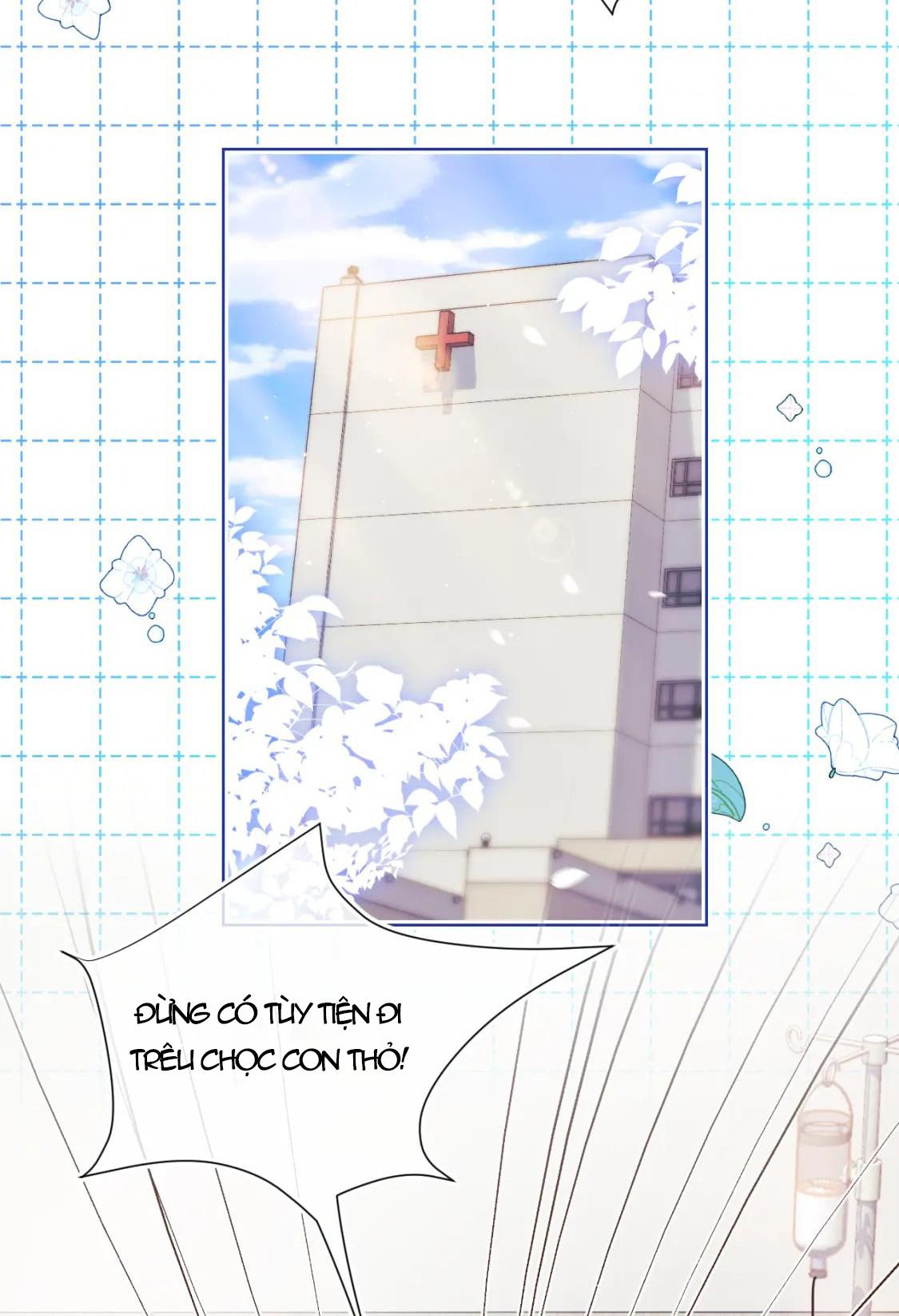 [ss2] một ngụm ăn cả thỏ con chapter 15 47