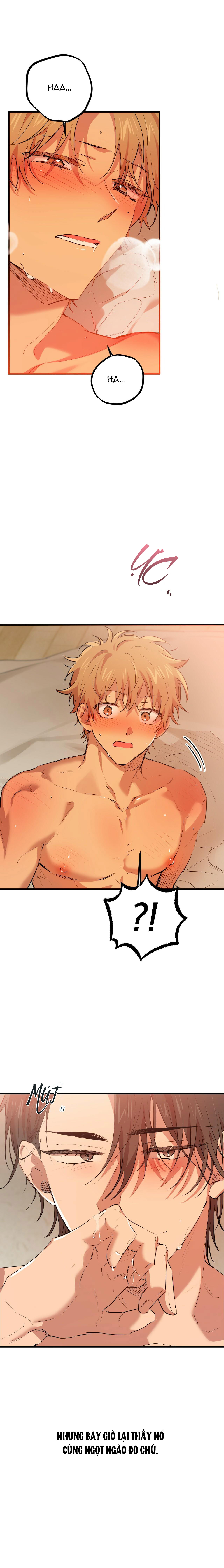 những chú thỏ của hapypy chapter 25 7