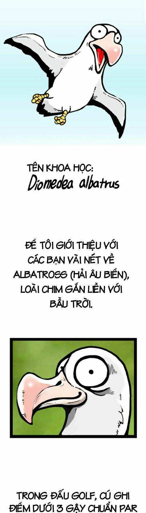 earth, human, and animal chapter 1 3