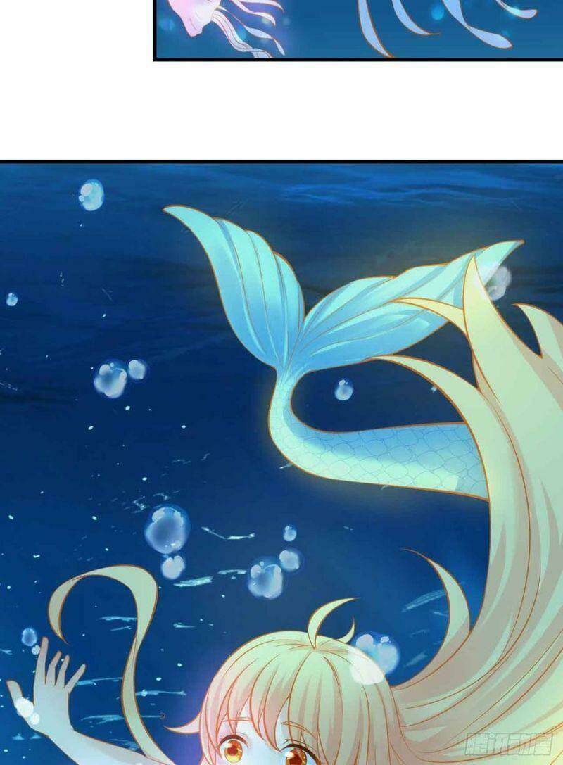 nhân ngư học trưởng, đừng ôm ta! chapter 84 28