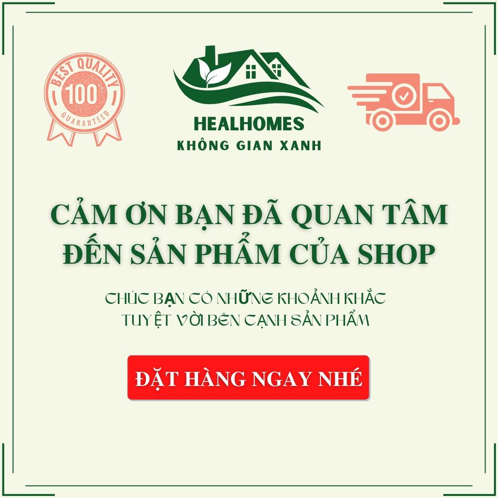 Hộp giấy ăn gỗ tre nhiều kích thước trang trí phòng bếp, nhà hàng khách sạn, đồ gia dụng thông minh / HealHomes