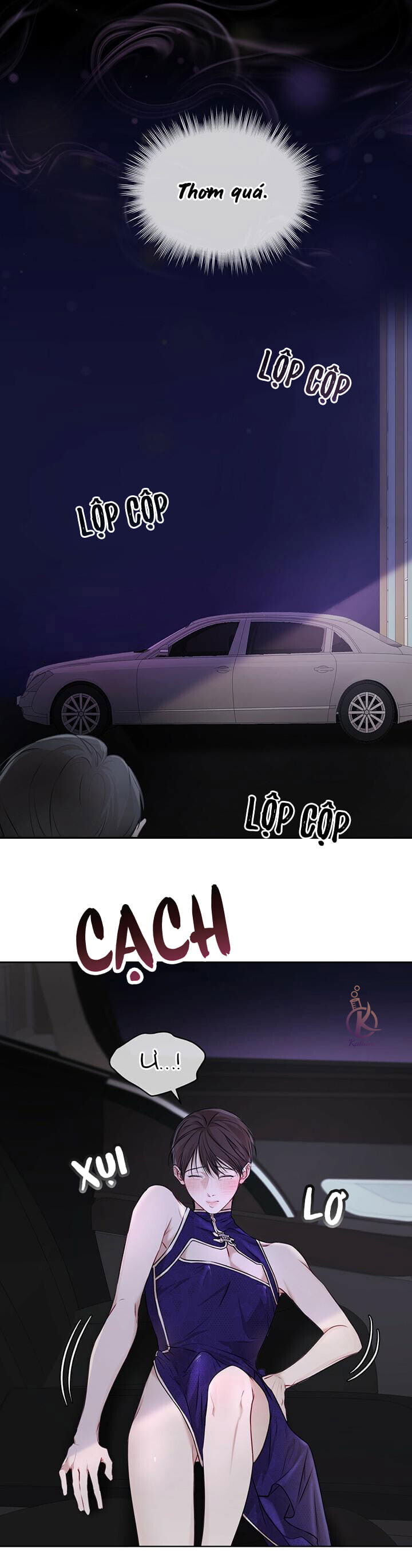 hình thái khởi sinh chapter 27 17