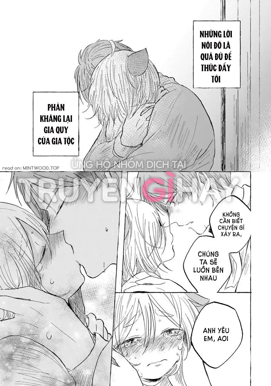 neko mimi omegaverse chapter 6.2 13