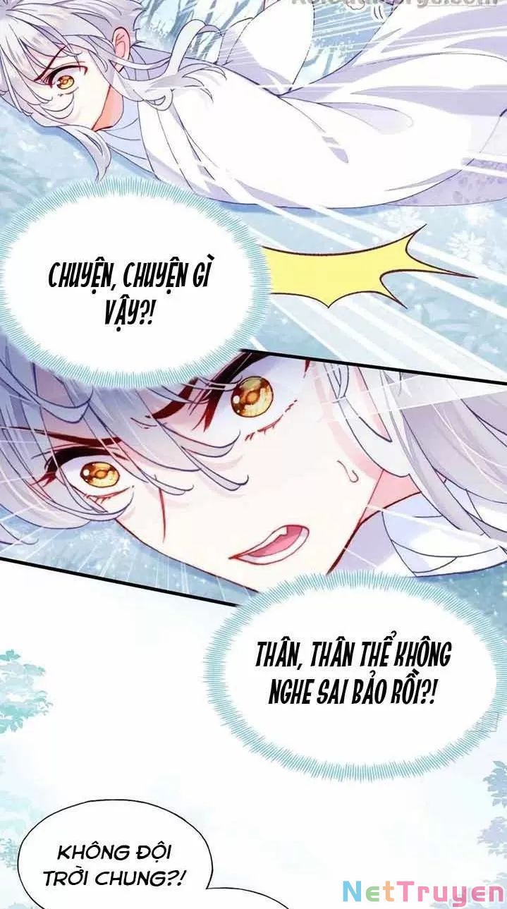 lại bị bệnh chiều chuộng quấn lấy chapter 16 33