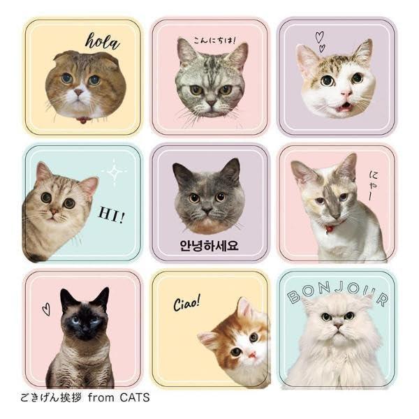 Sách ngoại văn: SNSで人気の有名ねこさんだらけ、応援ワード編! ねこいっぱいシールブック - Neko Ippai Seal Book