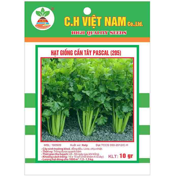 3 Goí Hạt Giống Cần Tây Pascal (10 gr/ gói)