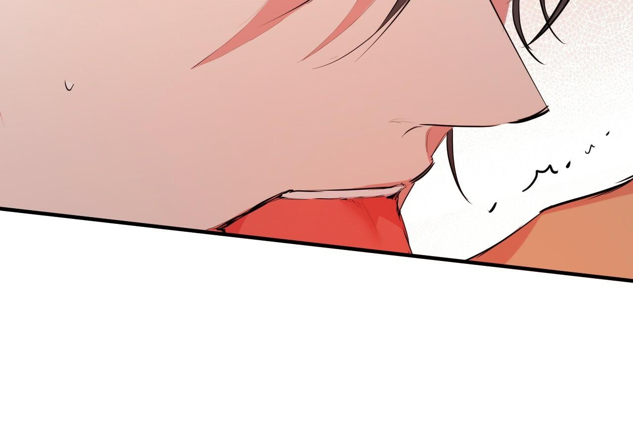 đàn thỏ của habibi chapter 29 105