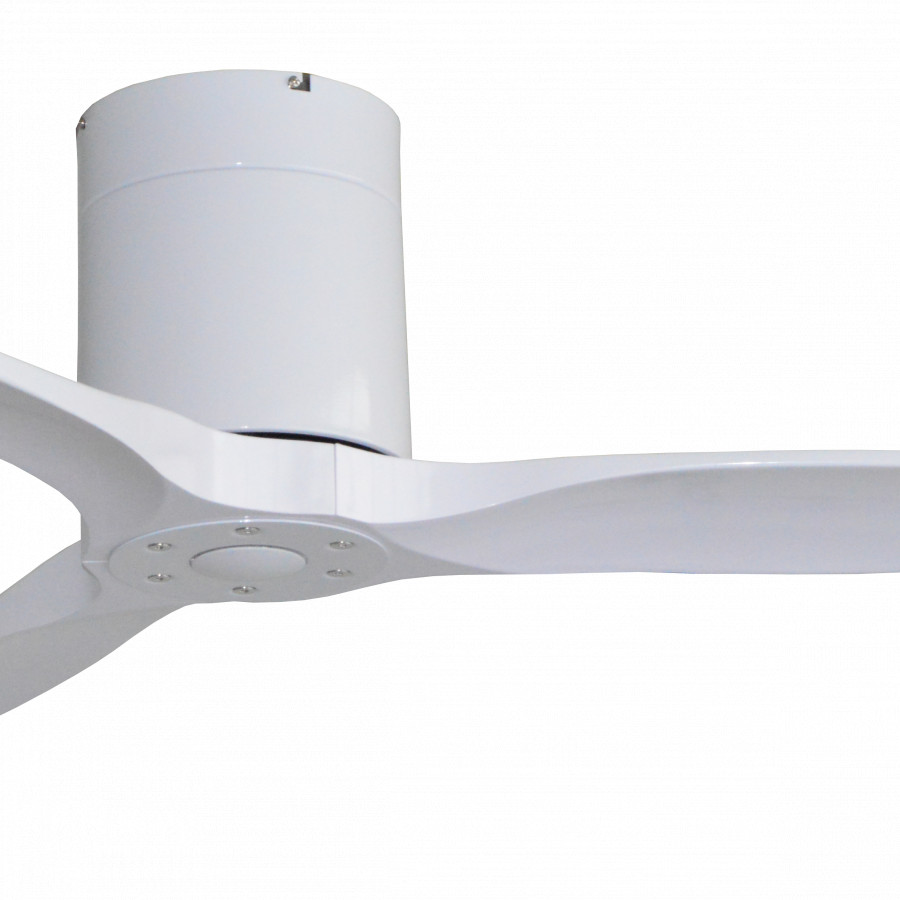 Quạt trần Luxaire Ritter Hugger