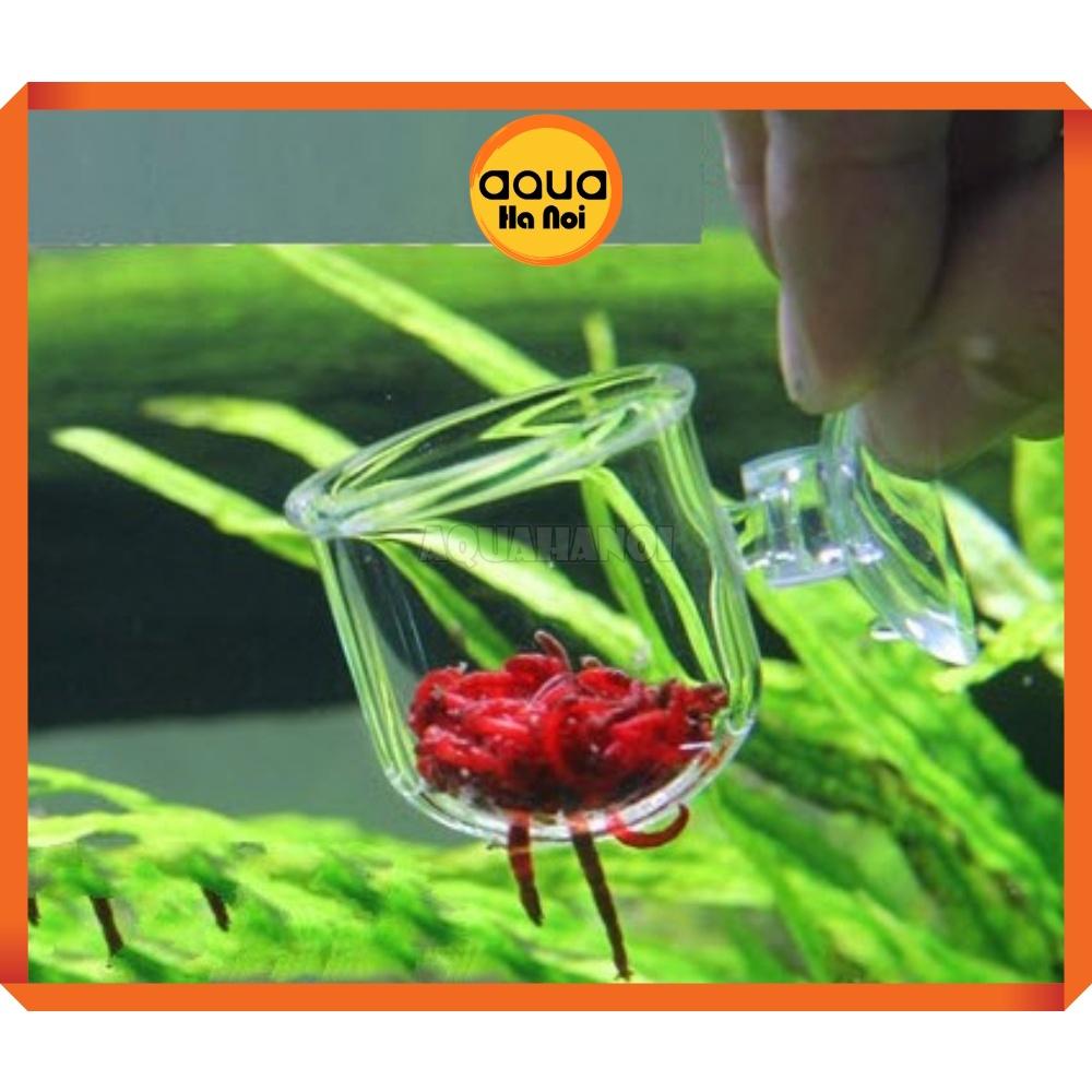 Cốc mica đựng giun trùn chỉ cho cá ăn - dán hồ kính