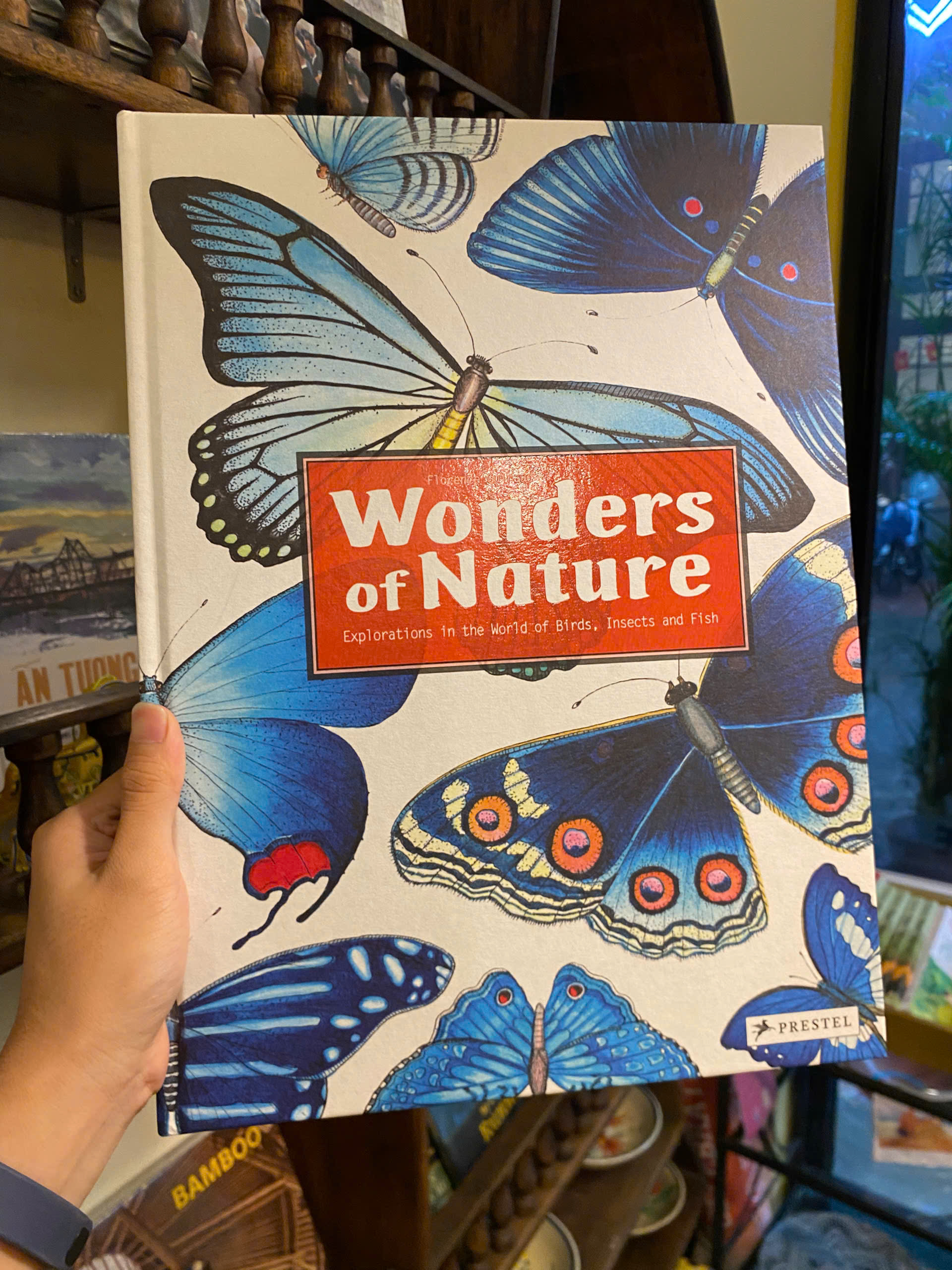 Sách - Wonders of Nature: Explorations in the World of Birds, Insects and Fish by Florence Guiraud