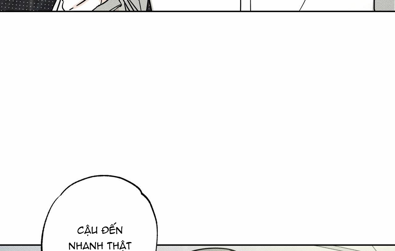 chàng giao pizza và gold palace chapter 23 142