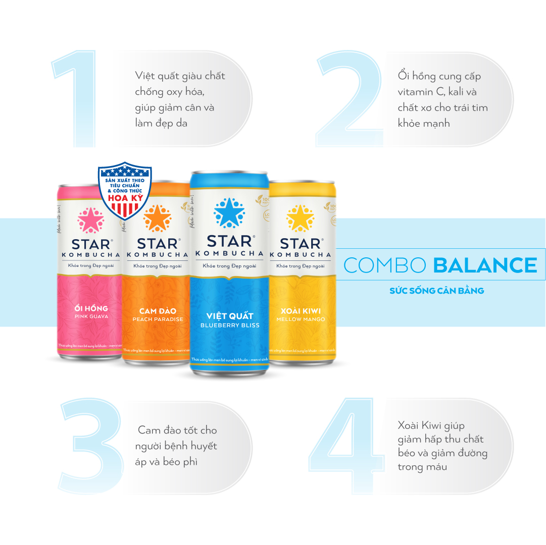 Combo 4 lon mix vị Thức uống lên men STAR KOMBUCHA - Balance Pack (250ml/lon)