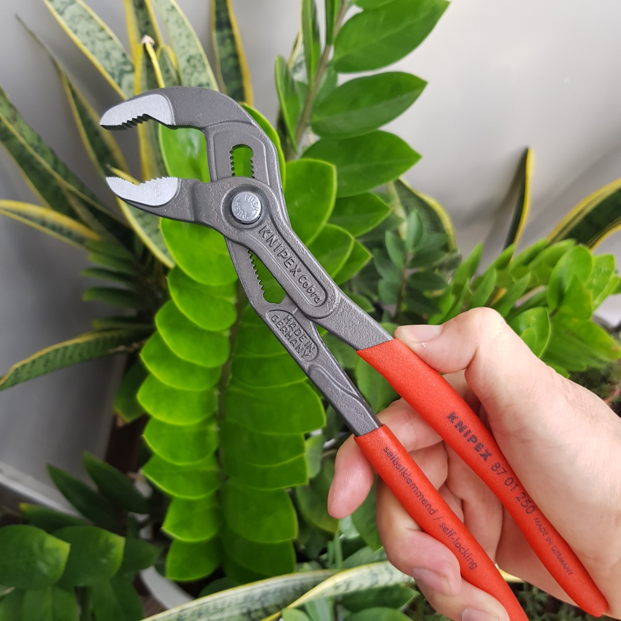 Kìm nước Cobra KNIPEX - 87 01 250