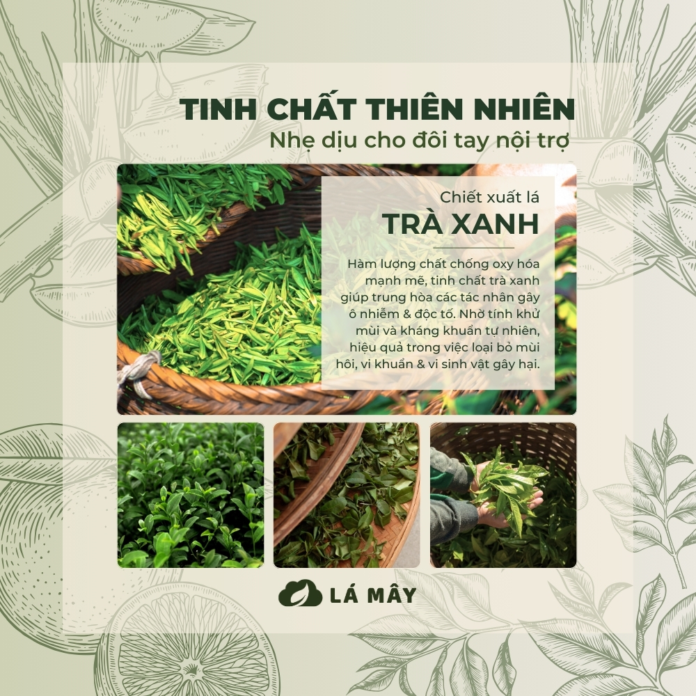 COMBO BẾP SẠCH LÁ MÂY