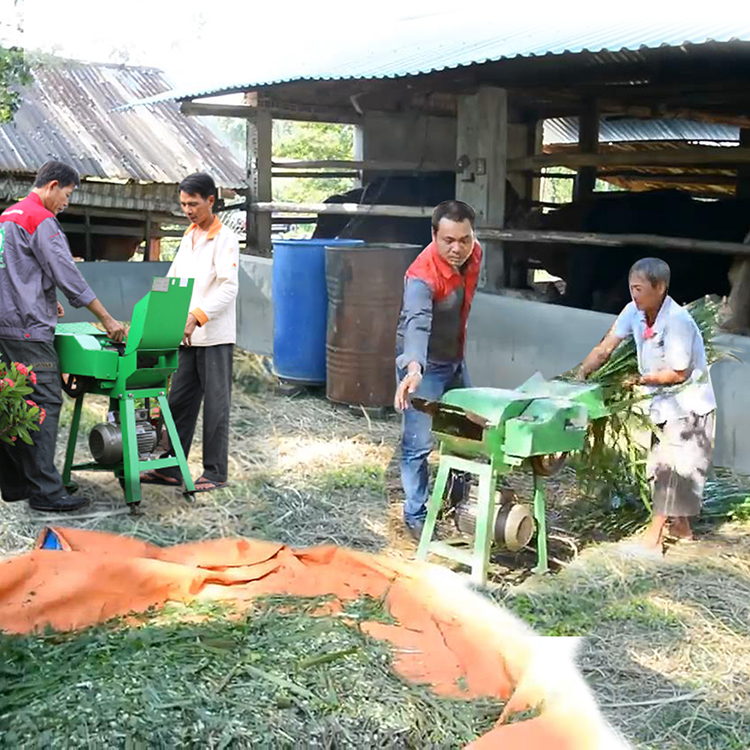 Máy băm cỏ cho bò 3A2,2Kw - Hàng Chính Hãng