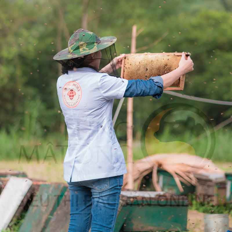 Mật ong Rừng Nhiệt Đới chai 700g