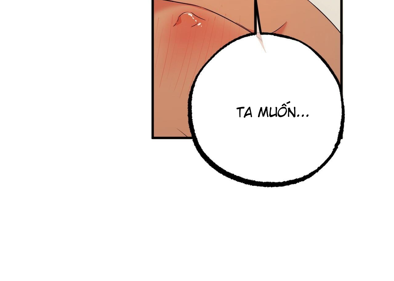 đàn thỏ của habibi chapter 54 213