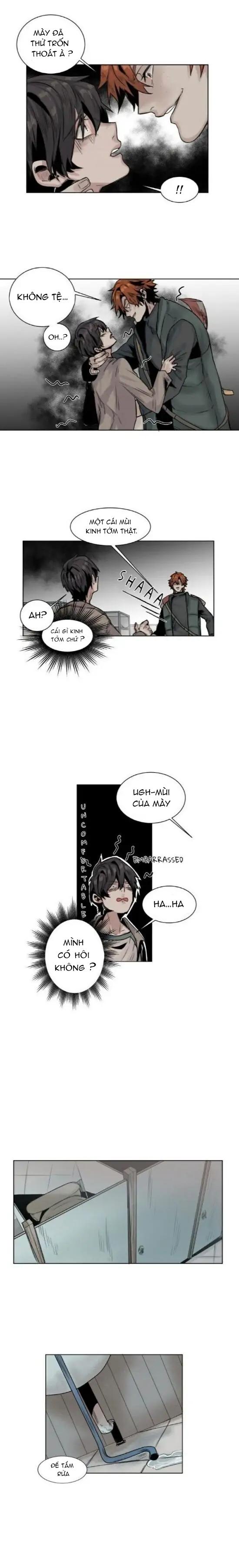 ánh nhìn của quạ chapter 9 7