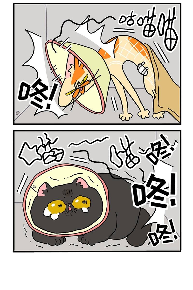 a mãn và mạch trà chapter 18.2 4