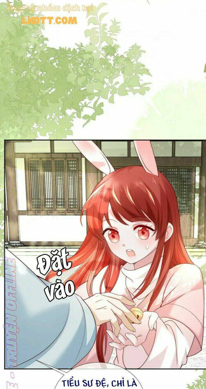 hắc hóa nam chính trực tuyến nuôi thỏ chapter 37 23