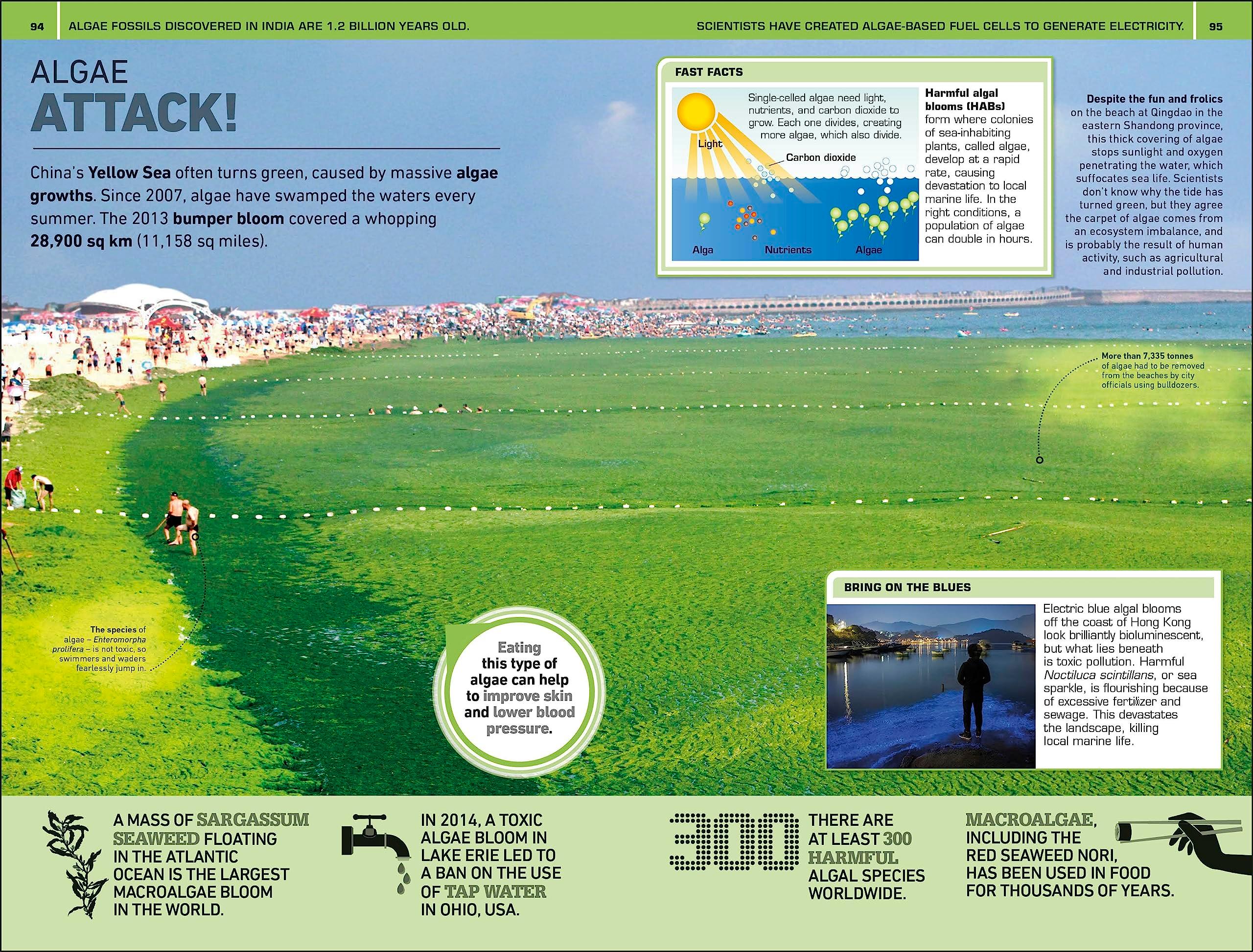 Sách ngoại văn: 1,000 Amazing Weird Facts