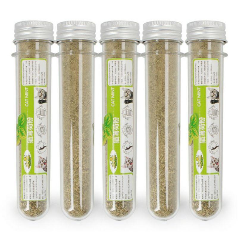 Cỏ bạc hà catnip cho mèo xả stress