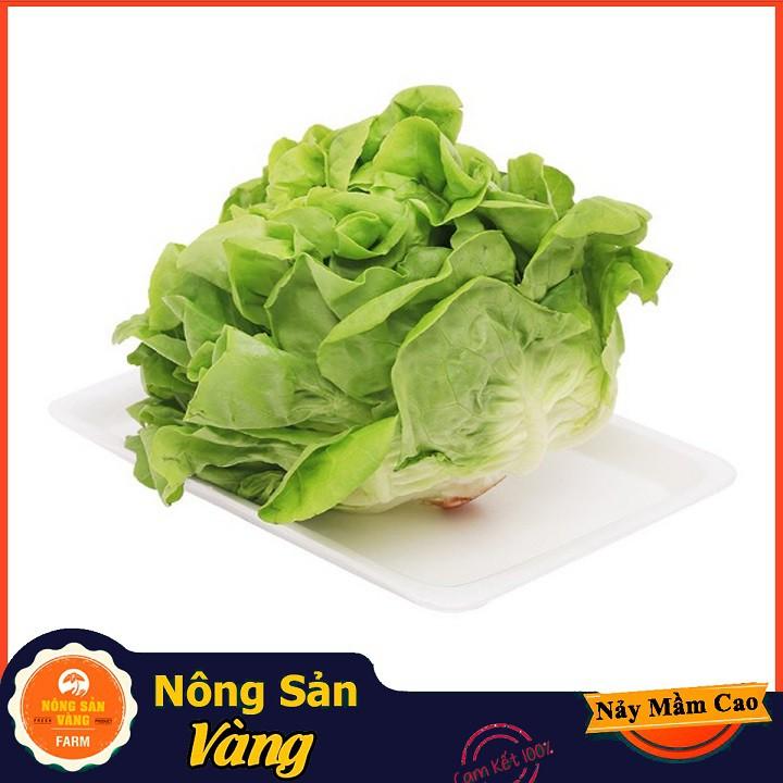 Hạt giống Xà Lách Búp Mỡ , Xà Lách Đăm