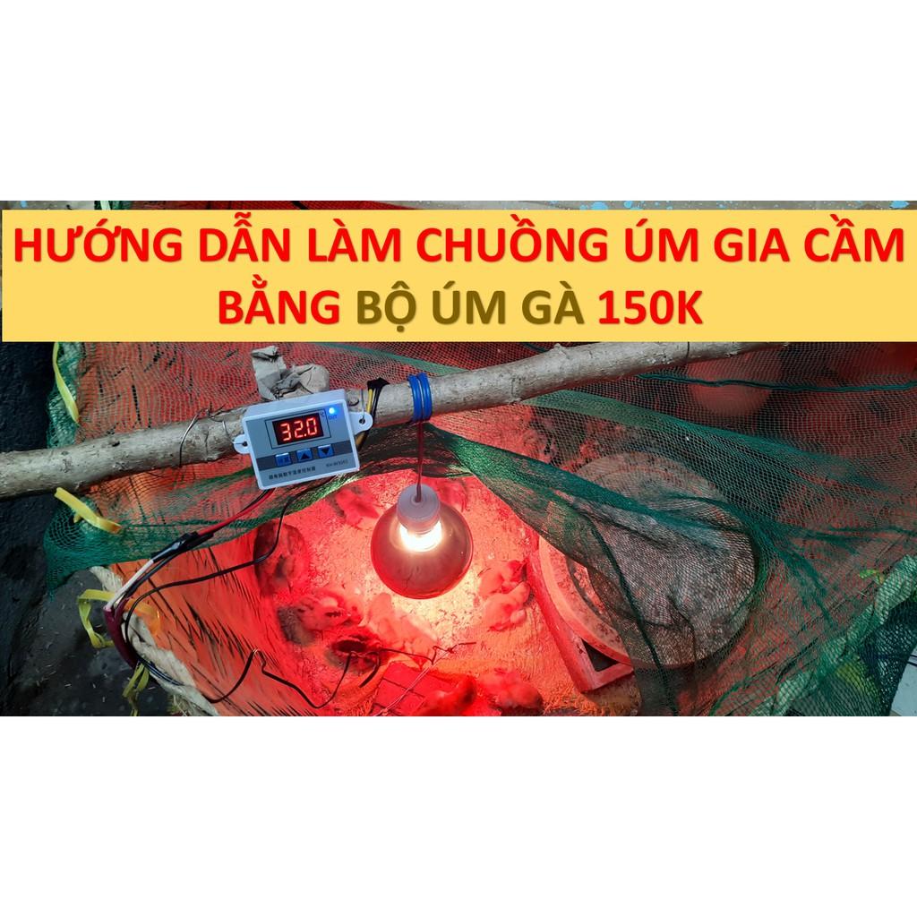 Bộ úm gà con