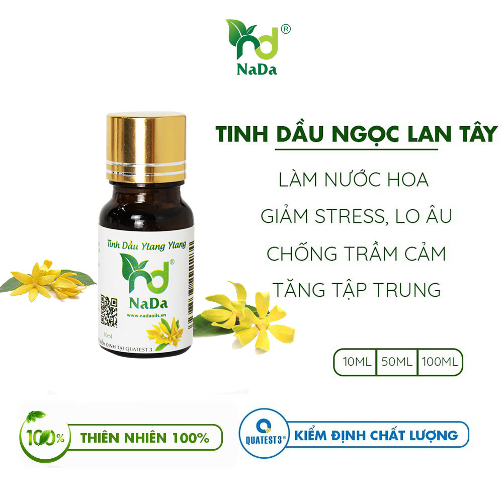 Túi treo tinh dầu Nada | 20 Mùi hương từ tinh dầu thiên nhiên 100% | Kiểm định QUATEST 3 | Khử mùi, Tạo hương