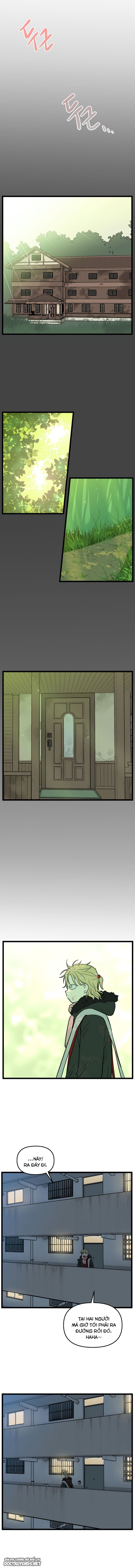 no home - không nhà chapter 206 2