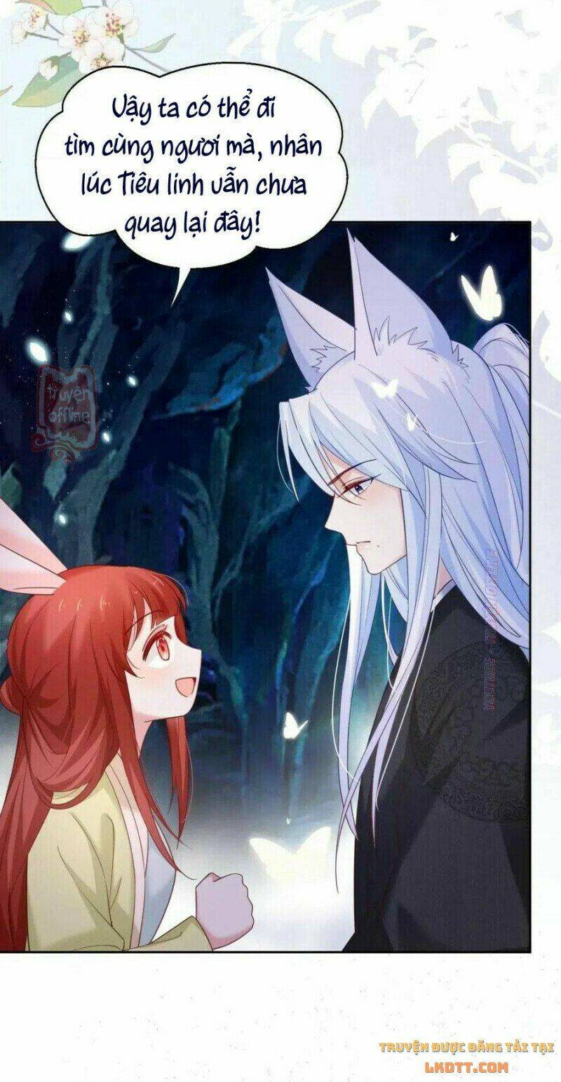 hắc hóa nam chính trực tuyến nuôi thỏ chapter 52 18