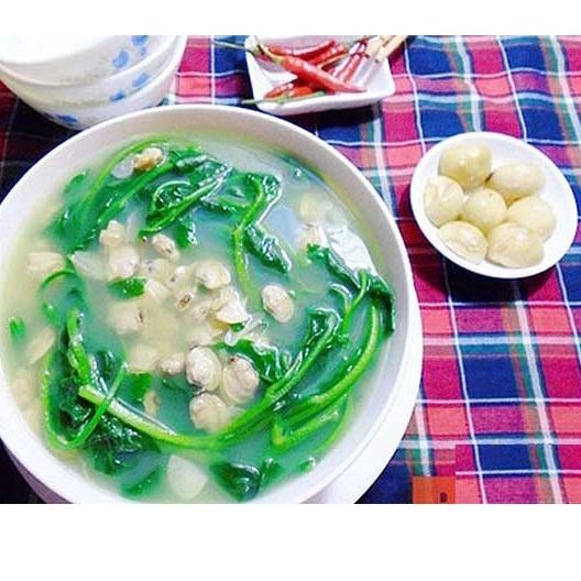 Hạt giống Mồng tơi cao sản dễ trồng