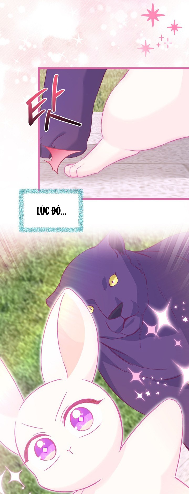 mối liên kết giữa báo đen và bé thỏ chapter 121 19