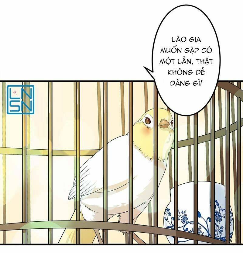 tổng tài cưng chiều vợ yêu chapter 12 11