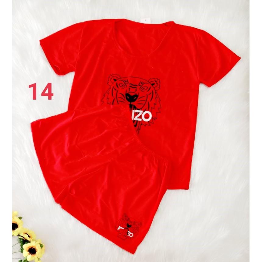 Xả rẻ bộ thun cotton nữ - 35 đến 55kg - ẢNH THẬT