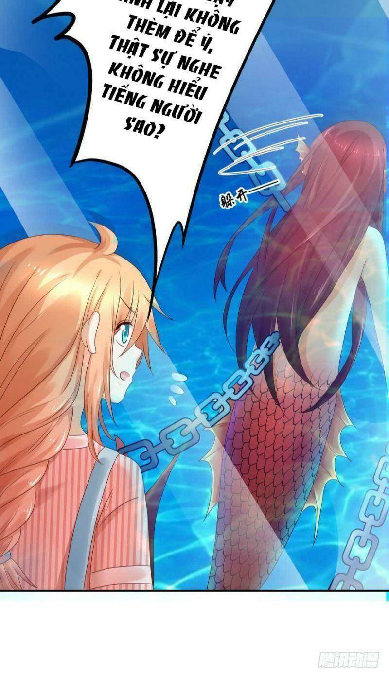 nhân ngư học trưởng, đừng ôm ta! chapter 54 21