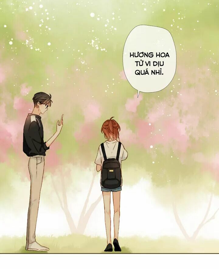 Tình yêu là màu hoa anh thảo chapter 34.2 5