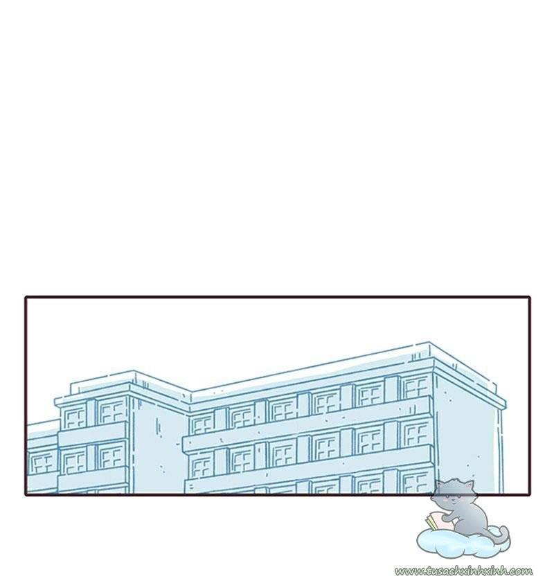 ngày định mệnh của đôi ta chapter 13 3