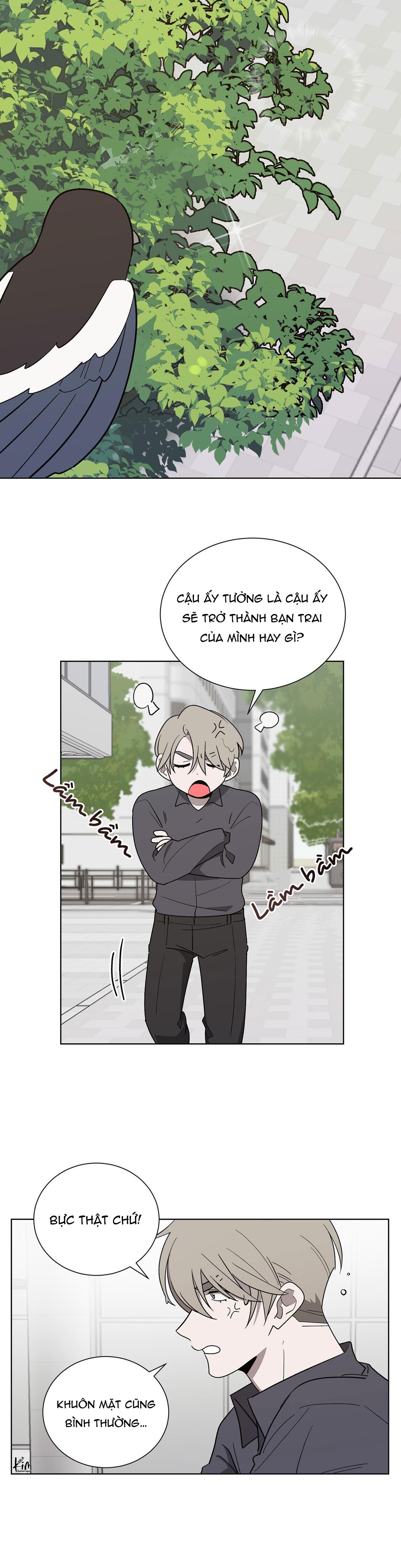 khi chim thước đến chapter 9 12