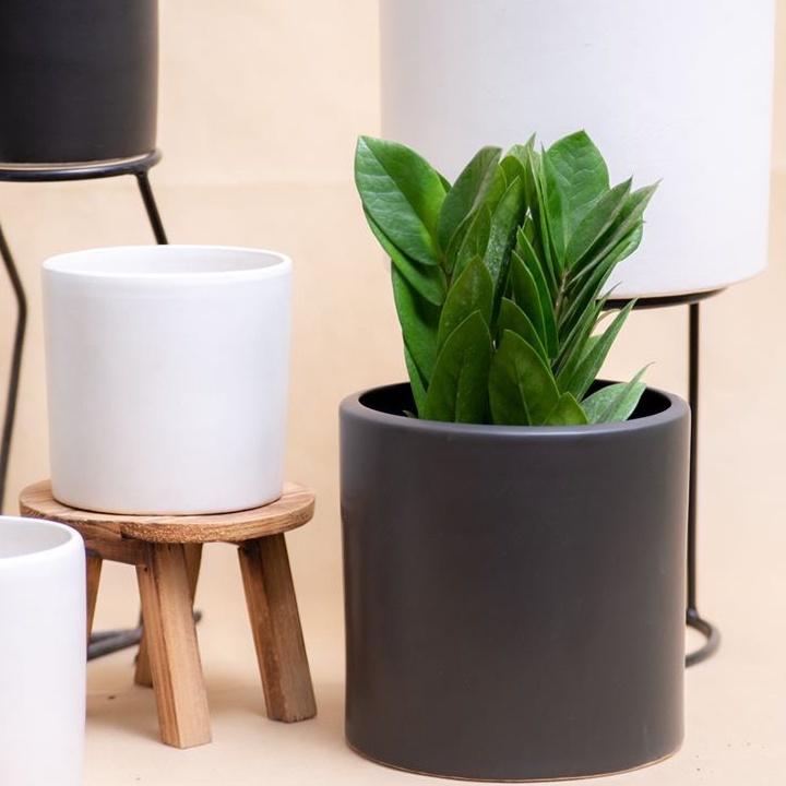 Chậu trồng cây hình trụ/ chậu sứ men mát rộng 15cm cao 15cm