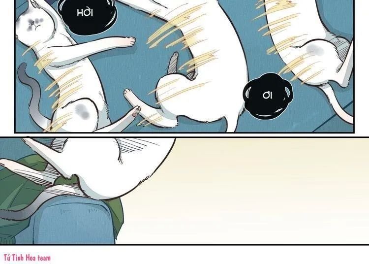 thời khắc ấy, chúng ta gặp nhau chapter 17 5