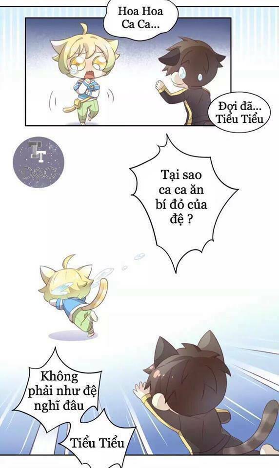 dưới móng vuốt mèo chapter 18 35