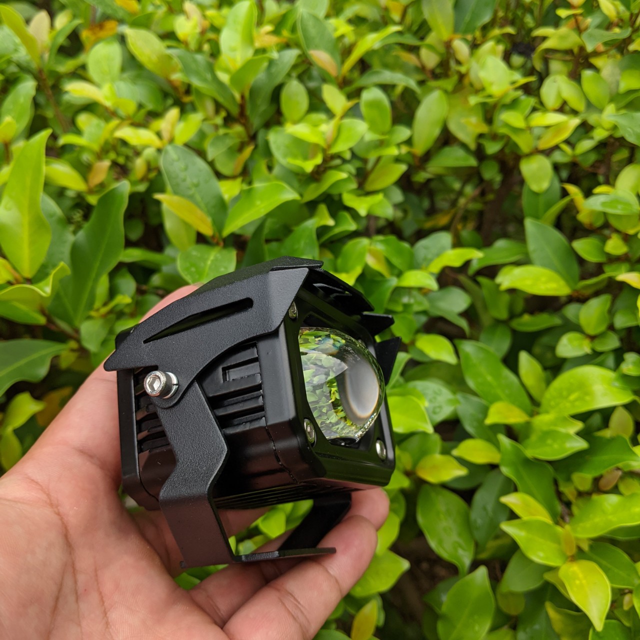 Đèn bi cầu 2 màu cốt vàng pha trắng F20xp 60w siêu sáng chống nước dành cho khách vip