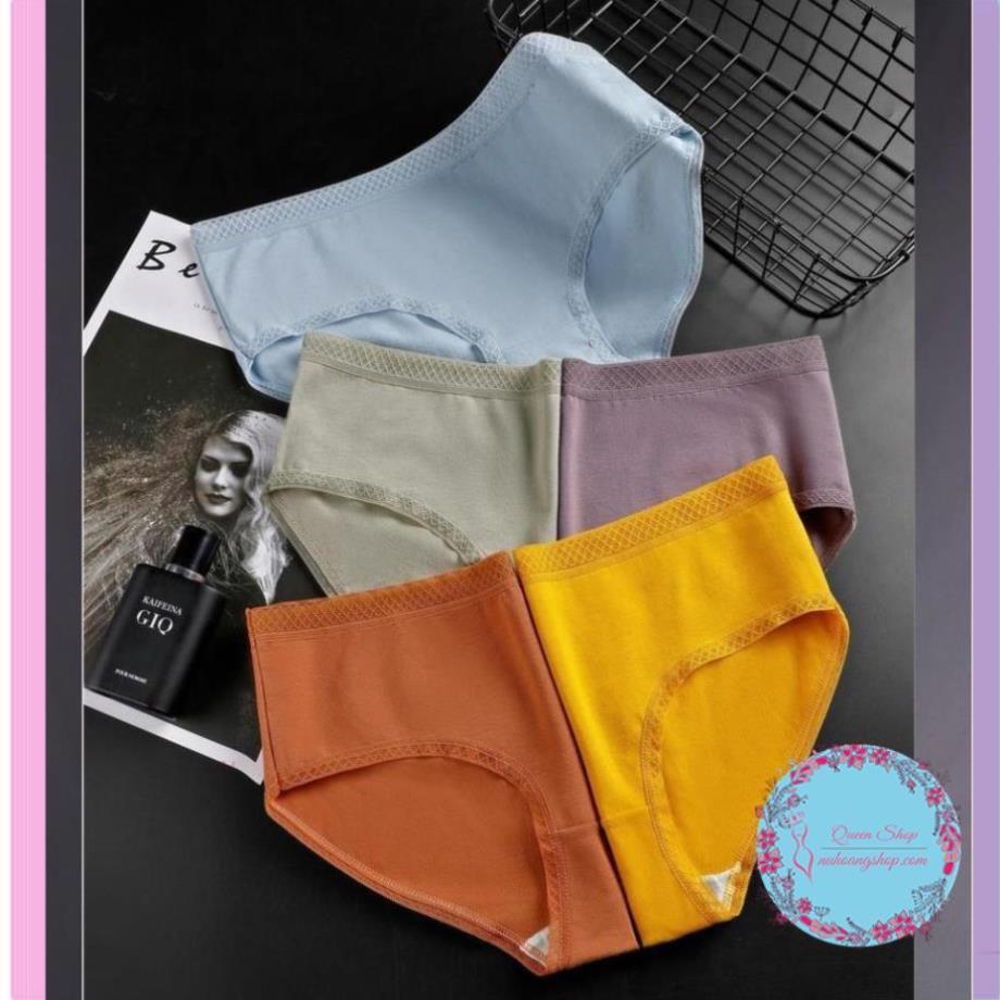 Quần Lót Nữ Cotton - đồ lót nữ Cao Cấp DL102