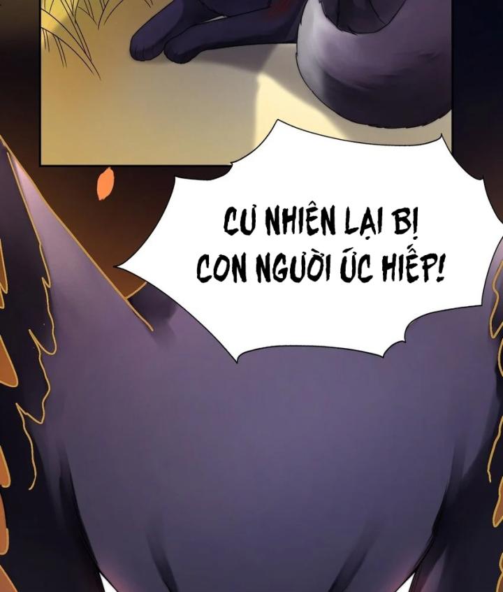 tổng tài bá đạo, đầu óc anh ấy có vấn đề chapter 1 18