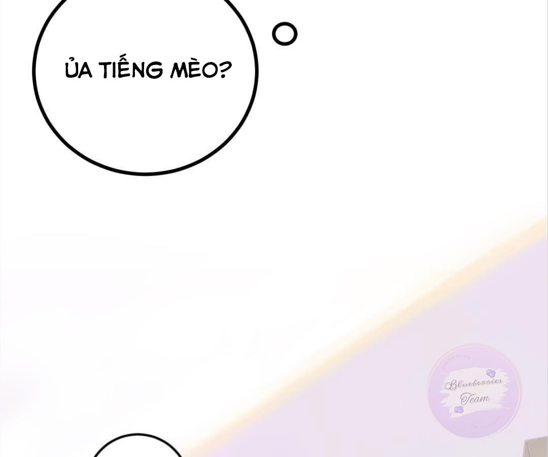 social cat chapter 1 21