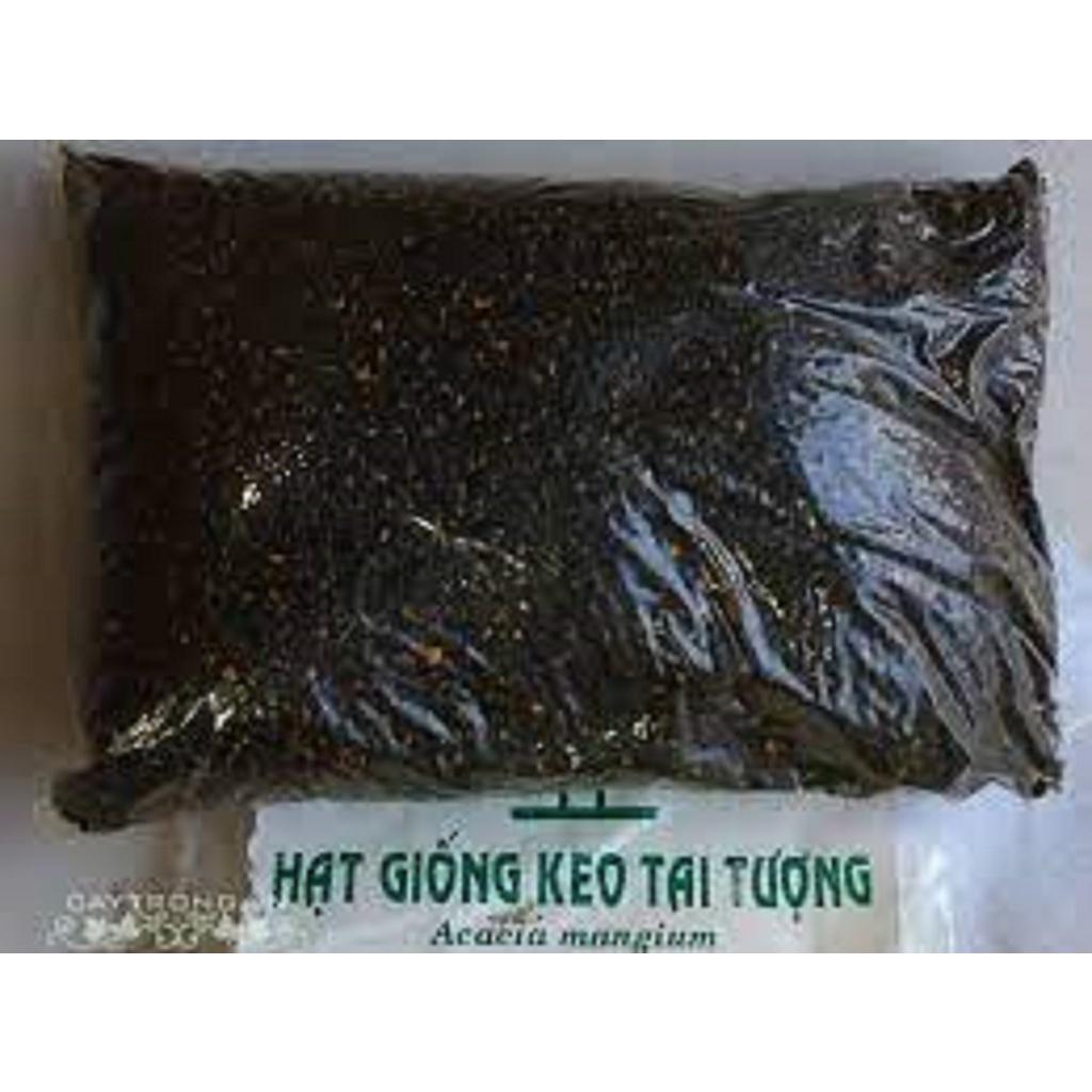 HẠT GIỐNG Keo Tai Tượng ÚC