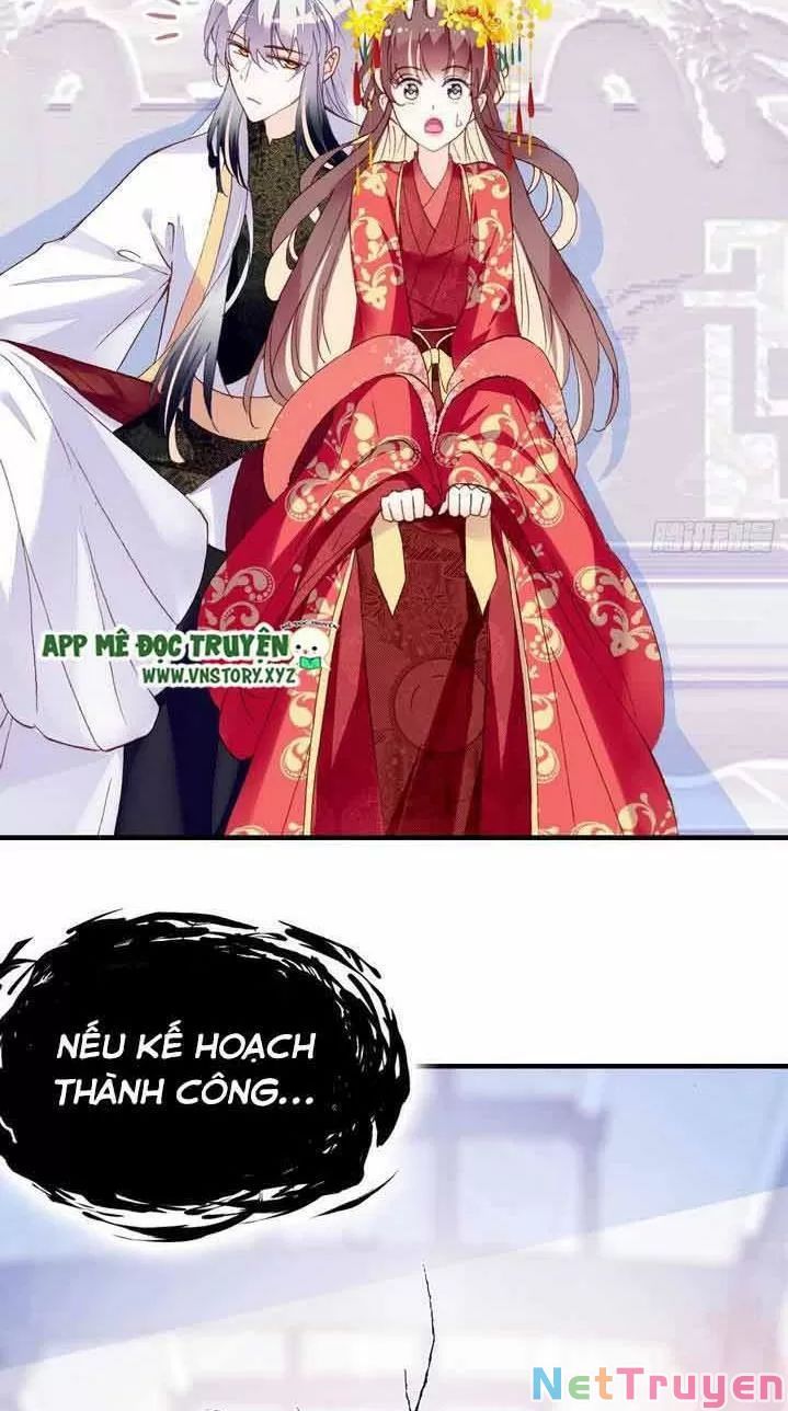 lại bị bệnh chiều chuộng quấn lấy chapter 4 19